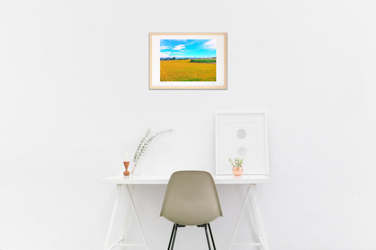 夏風に揺れる稲穂