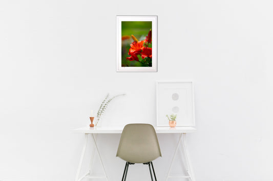 ザ・オレンジリリー