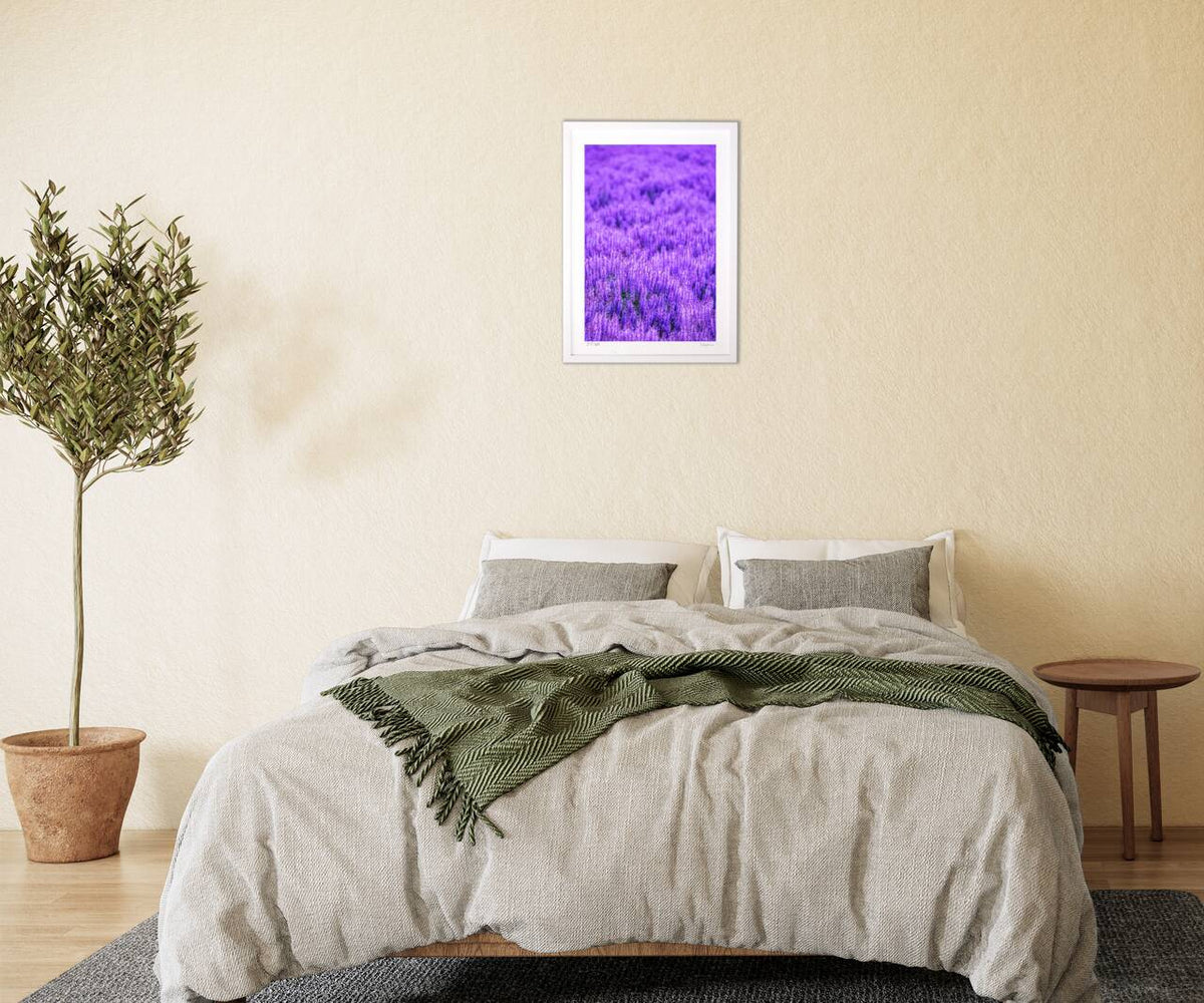 Hokkaido catmint