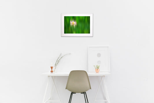 幸運を引き寄せる