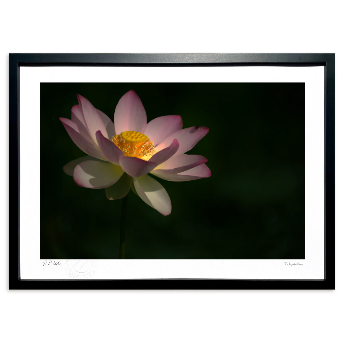 Flower Lantern