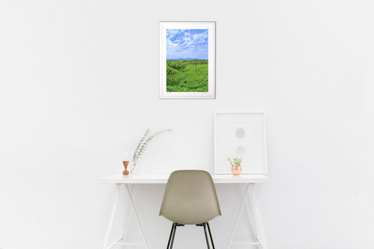 牛道の草原からの