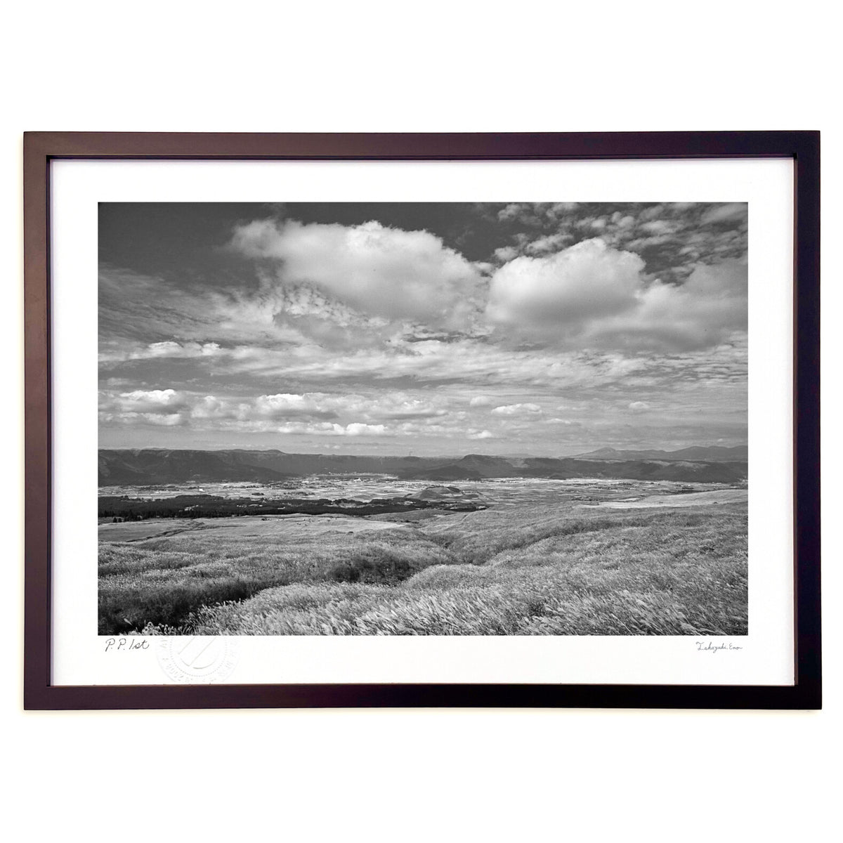 Aso's silver grass fields