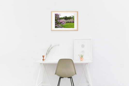 ピンクのグラデーション