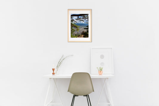 木のトンネルの抜けると