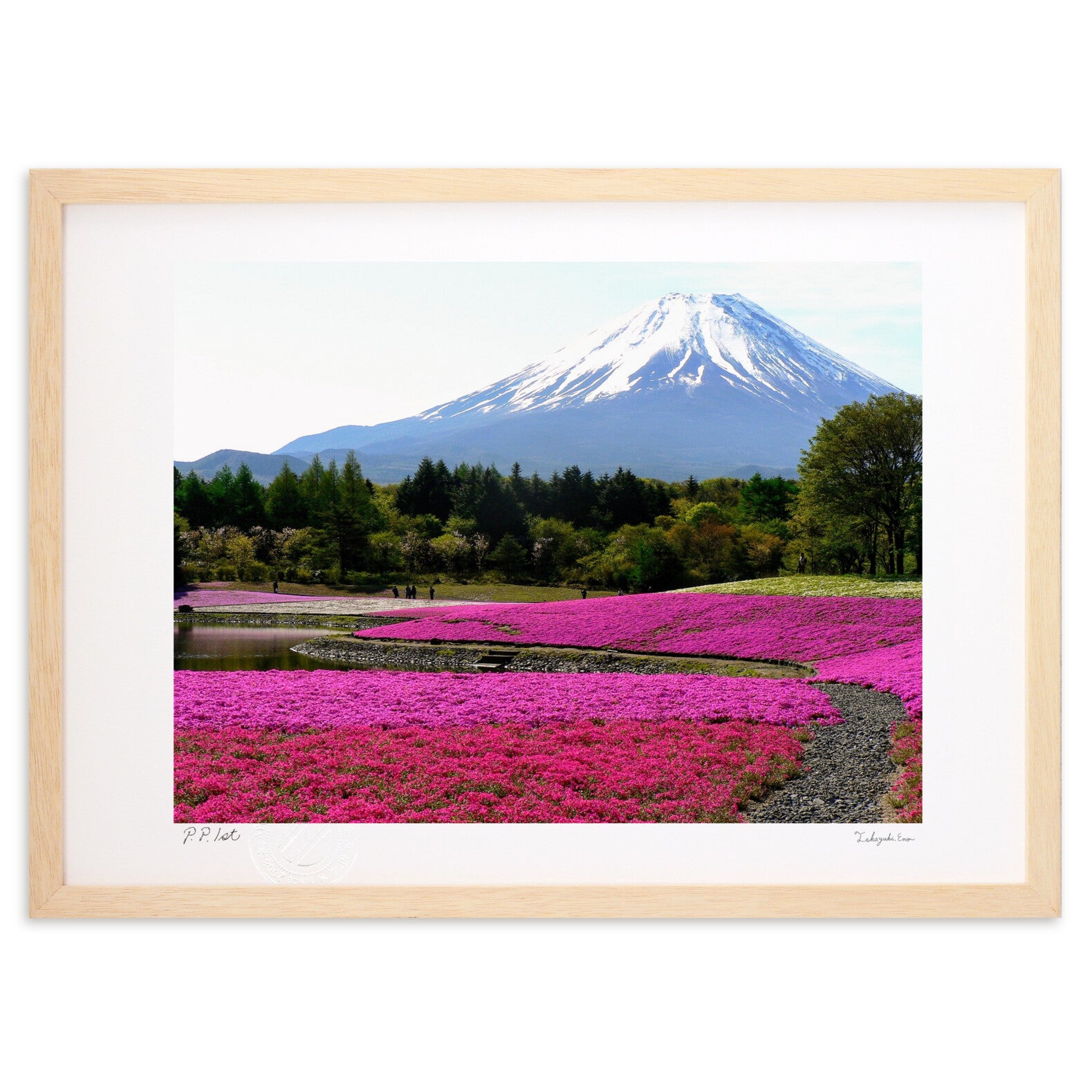 芝桜と富士山 – 絵画や壁飾り販売｜風景投稿販売あゆわら(R)