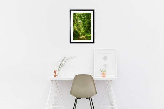 木漏れ日の道(縦)