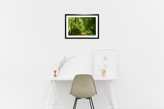 木漏れ日の道(横)