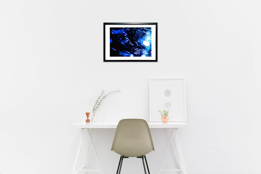 紫外線の色彩&蜘蛛の糸