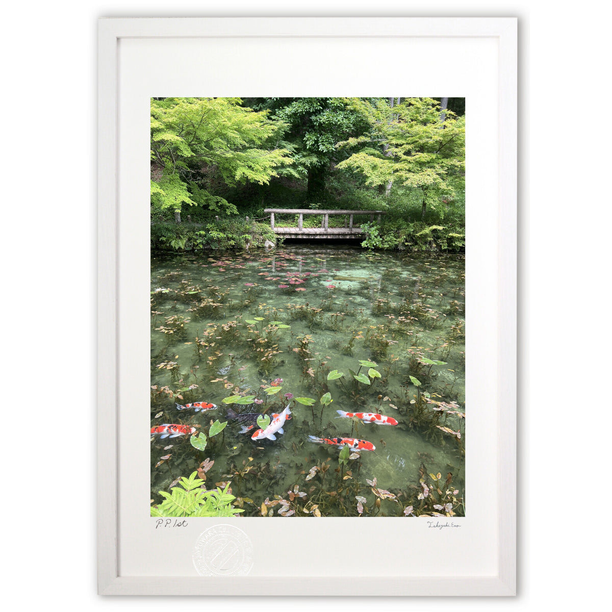 Monet's Pond
