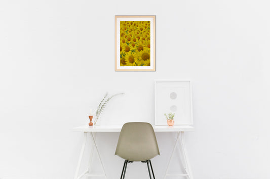 太陽に向かって