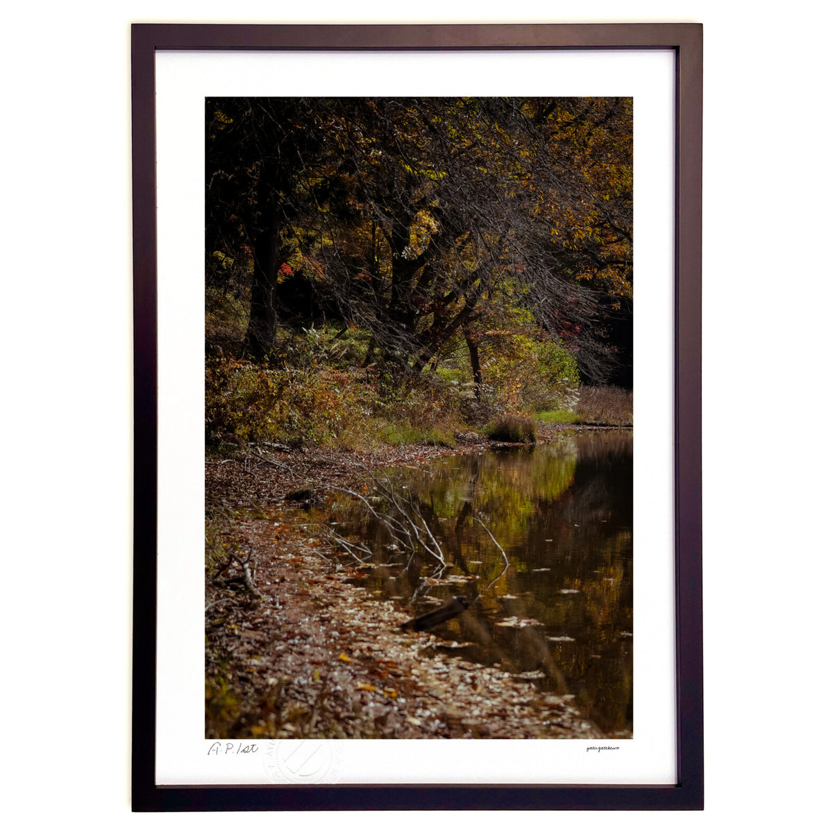 Light shining on the autumn leaves pond