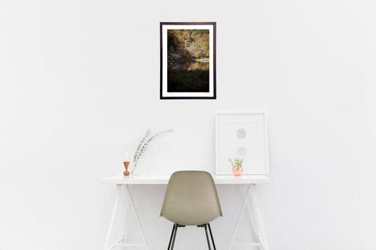 紅葉池にさす光