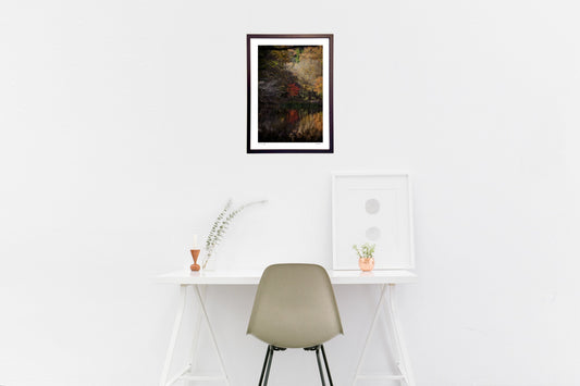 紅葉池にさす光