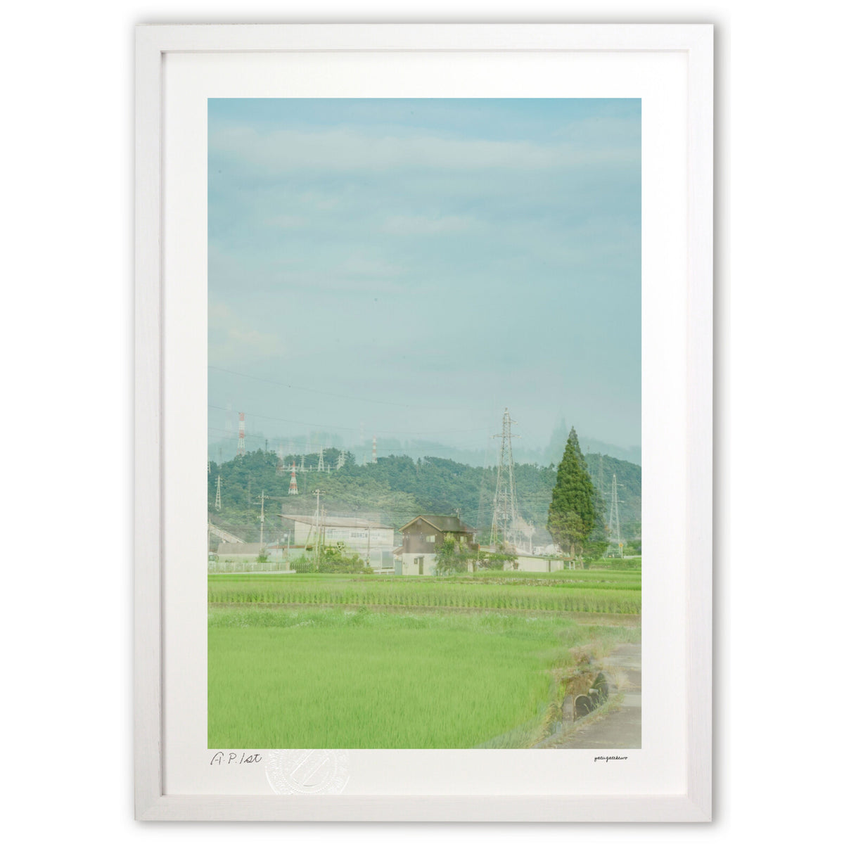 Summer rural landscape