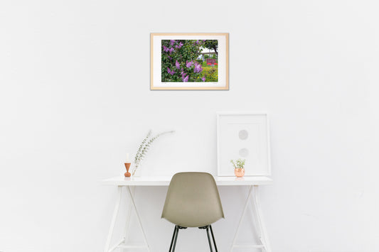 flower garden