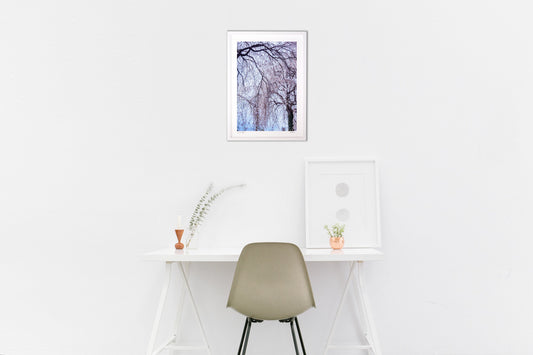 淡い季節のしだれ桜