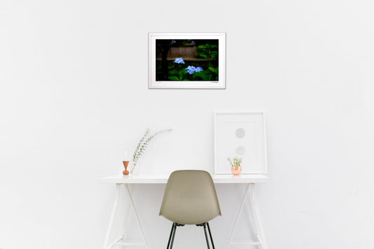 梅雨空のもとで②