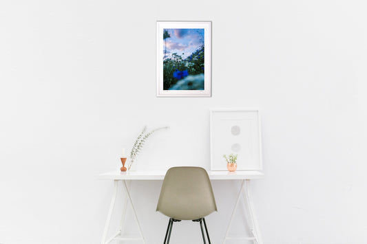 初夏の陰りと吹く風