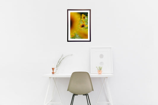 レッドバイカラー