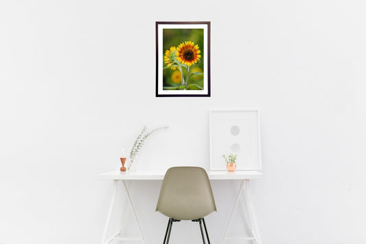 レッドバイカラー