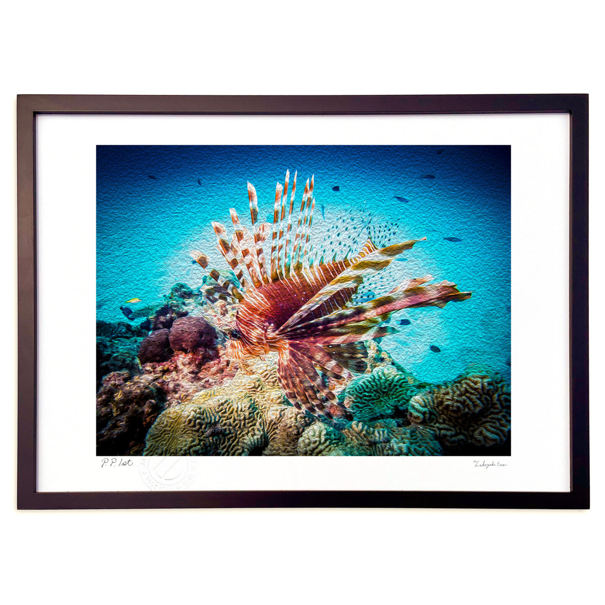 Red lionfish
