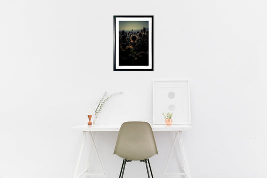 陰る時間の中で揺れる