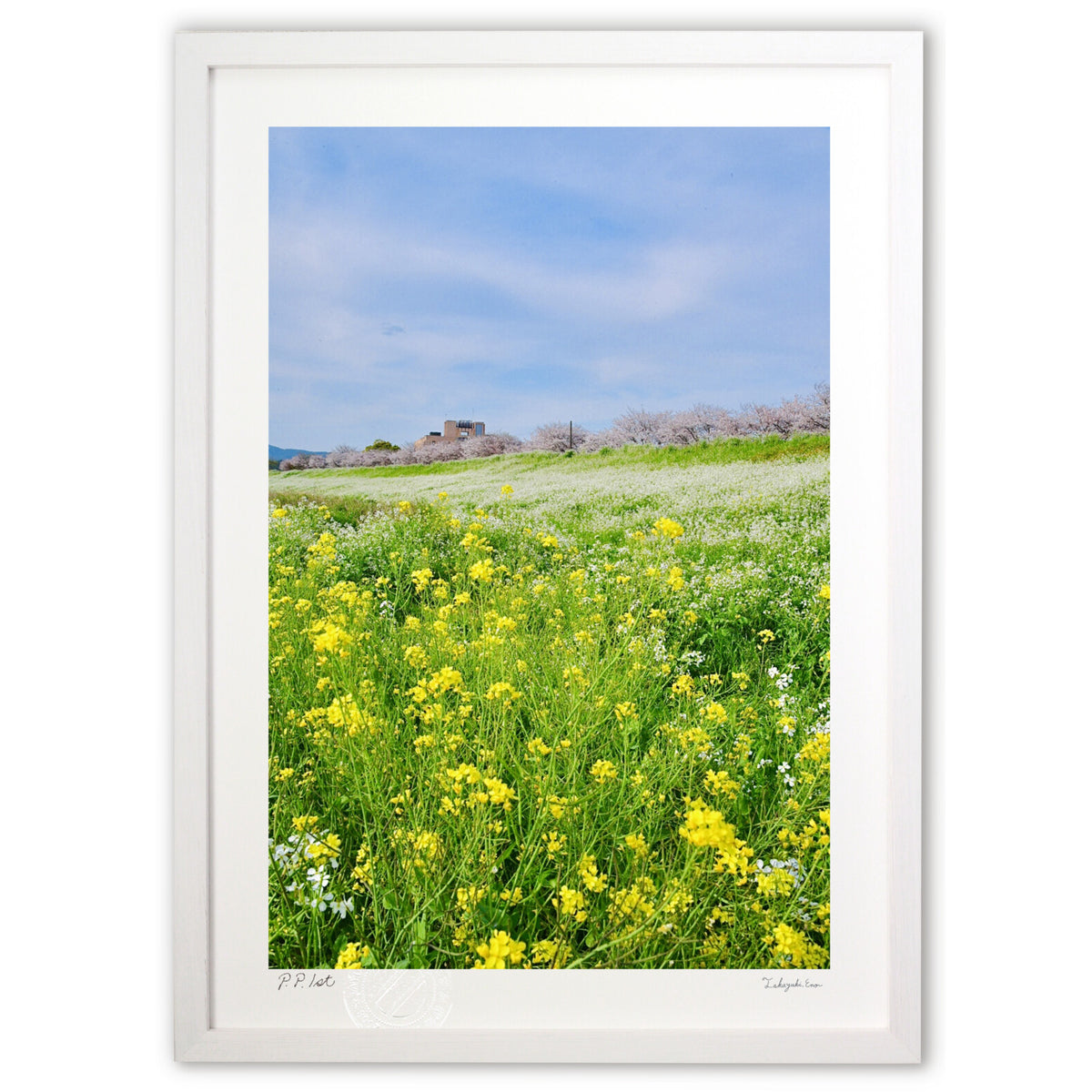 Spring on the riverbank