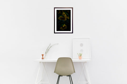 雨上がりのひまわり畑