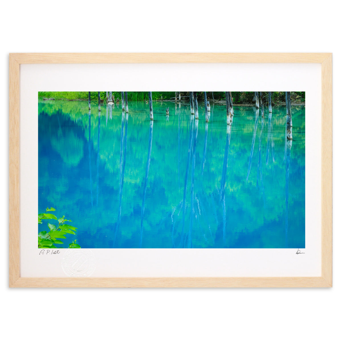 Blue Pond