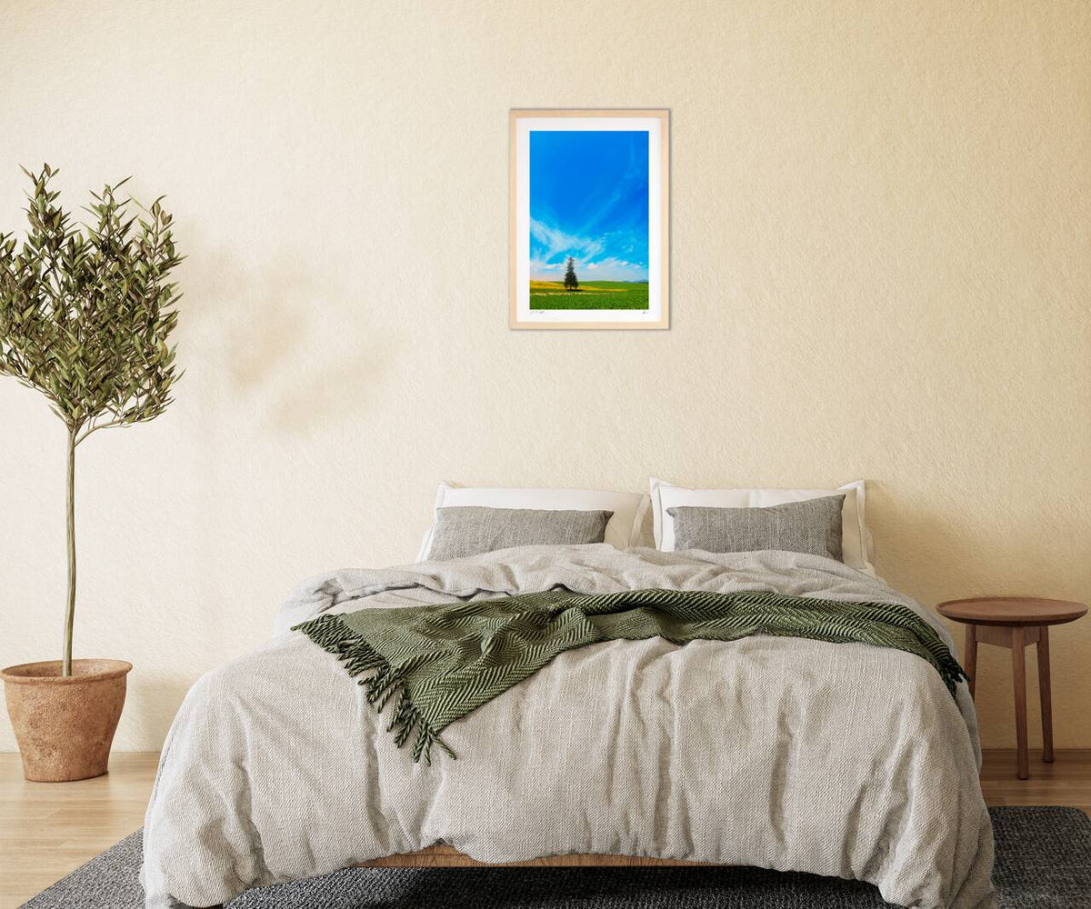 A tree standing on a hill