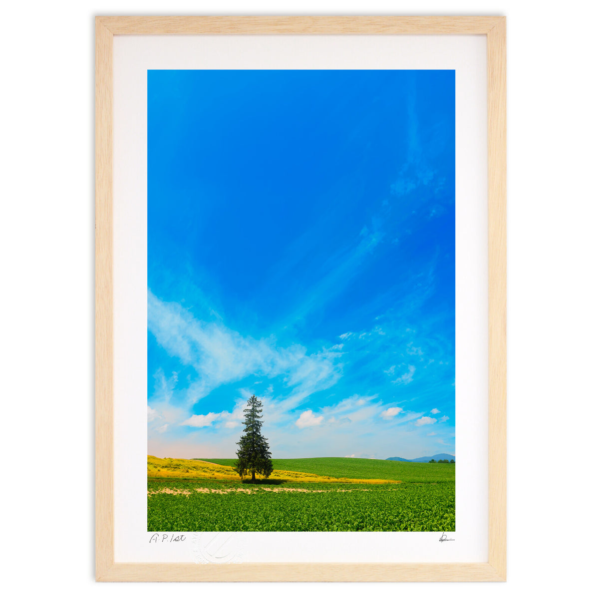 A tree standing on a hill