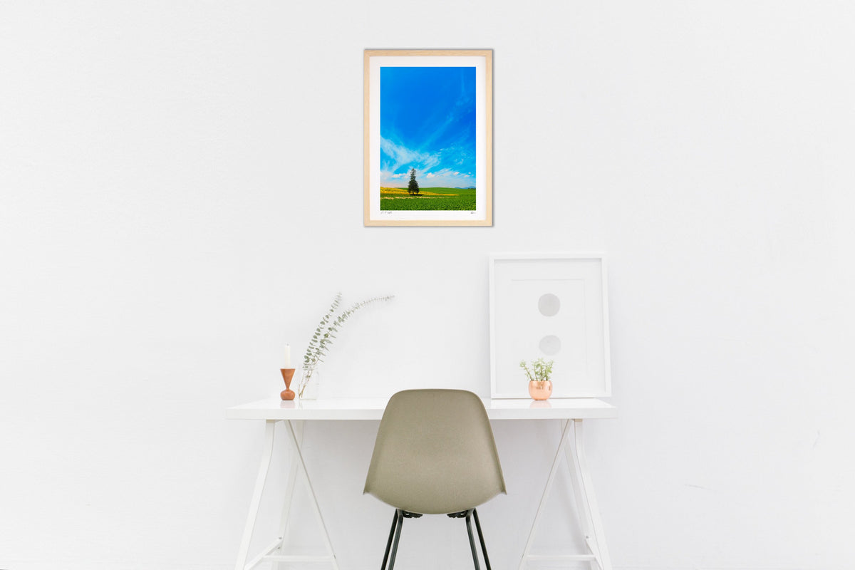 A tree standing on a hill
