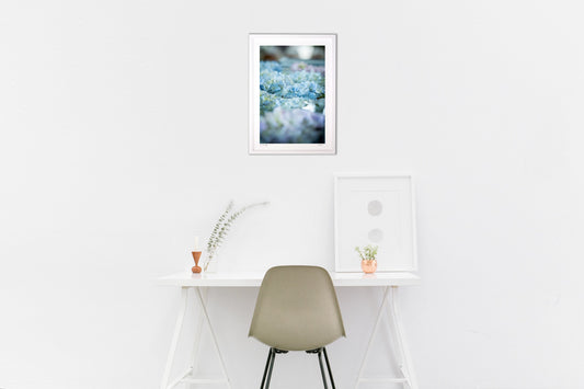 梅雨に浮かぶ花手水