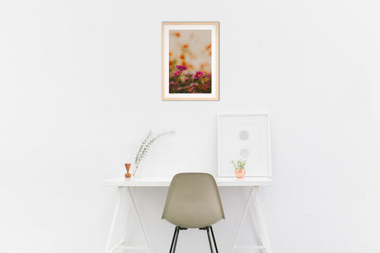 ノスタルジックコスモス