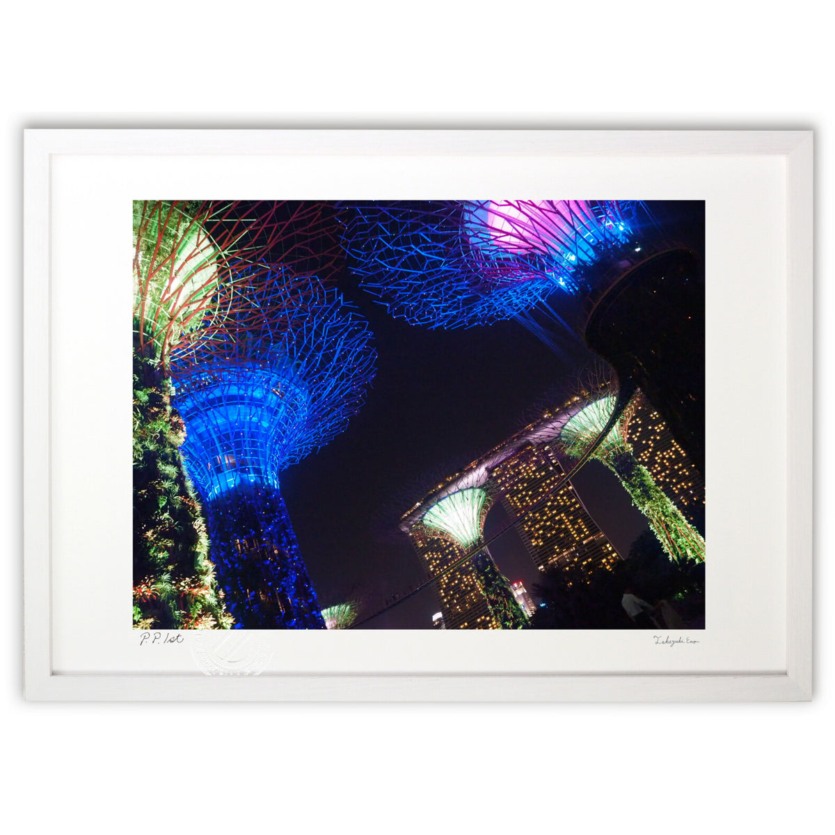 Night at the Botanical Garden