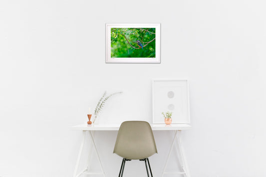 緑の中で一休み