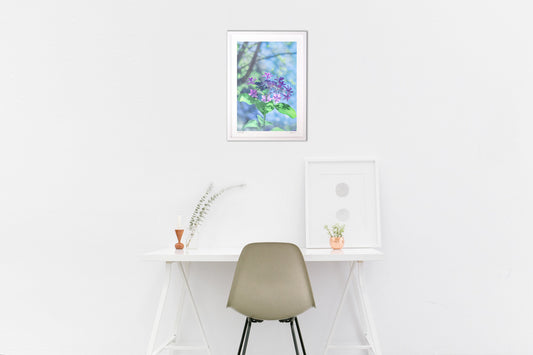 透明感のある紫陽花