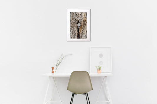 モモンガちゃん