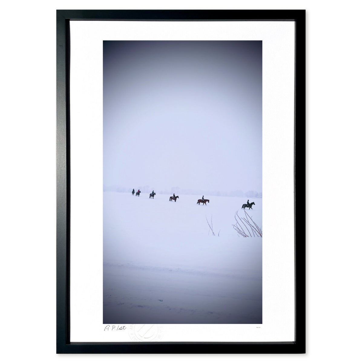 Horse in the snow