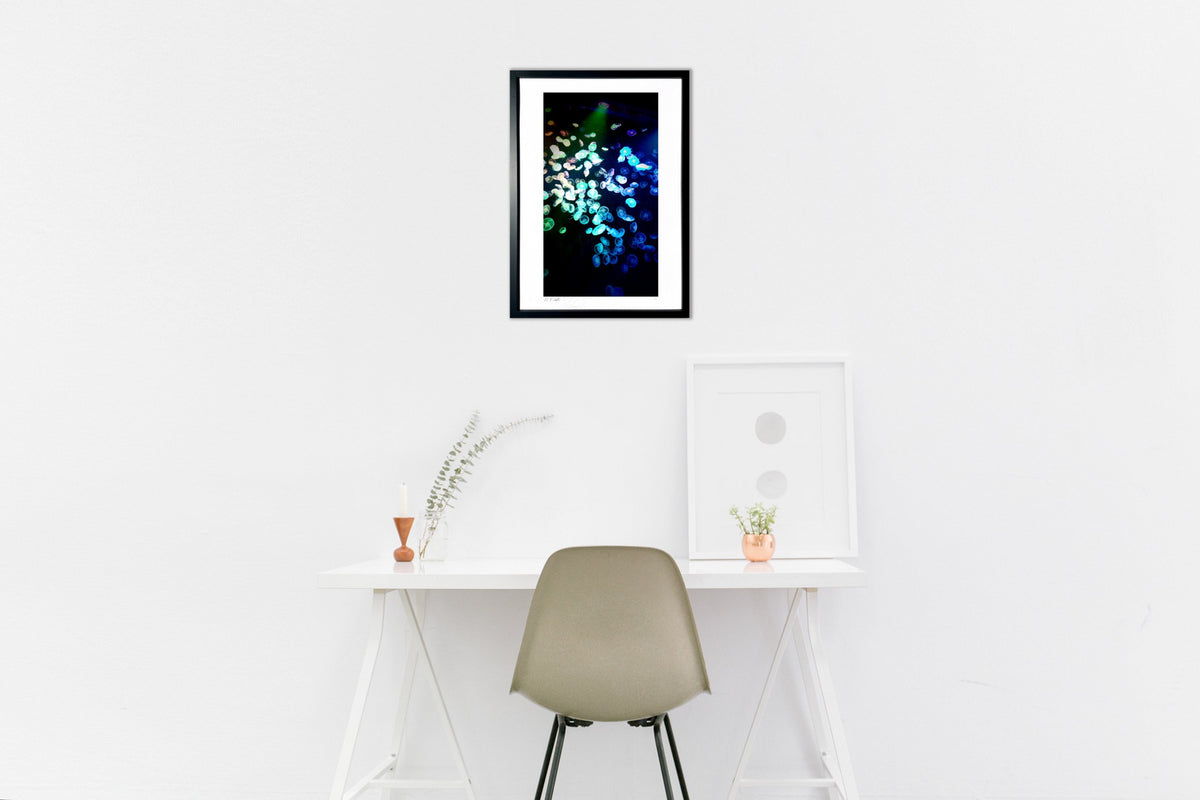 Glowing Jellyfish
