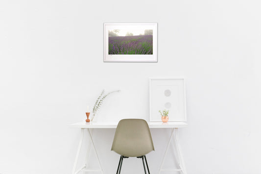 ラベンダーの丘