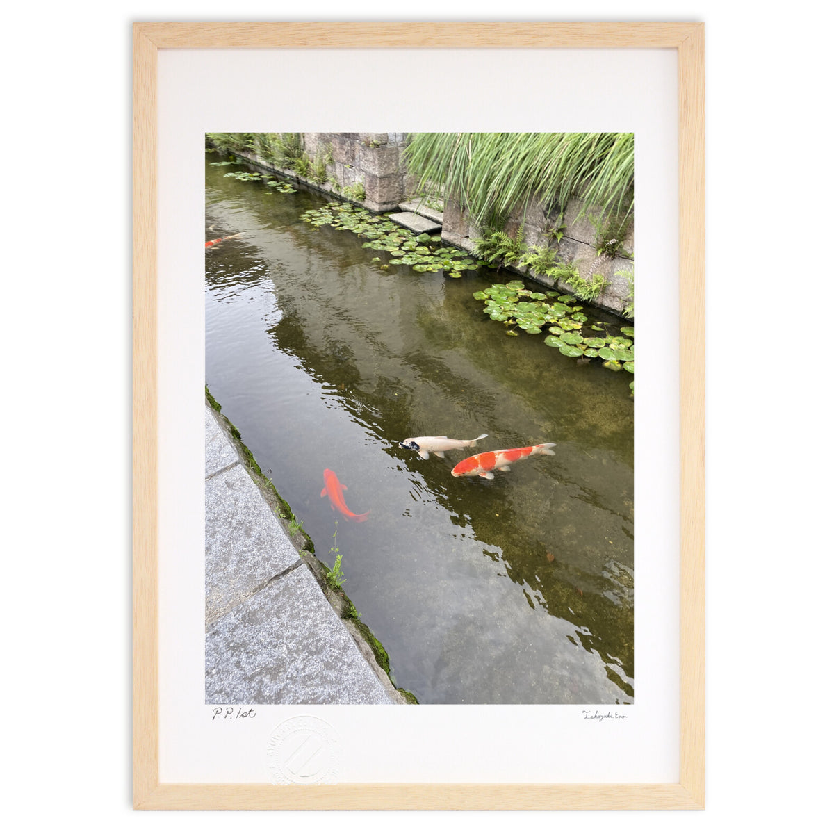 Carp and waterway