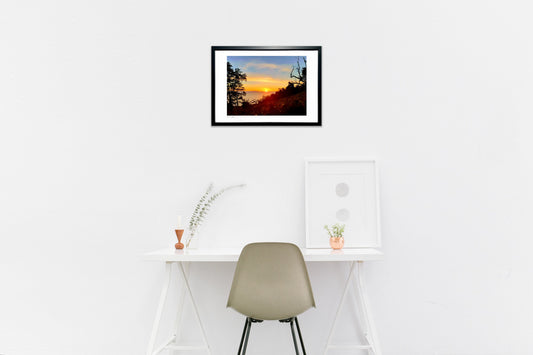 写真 木の隙間から