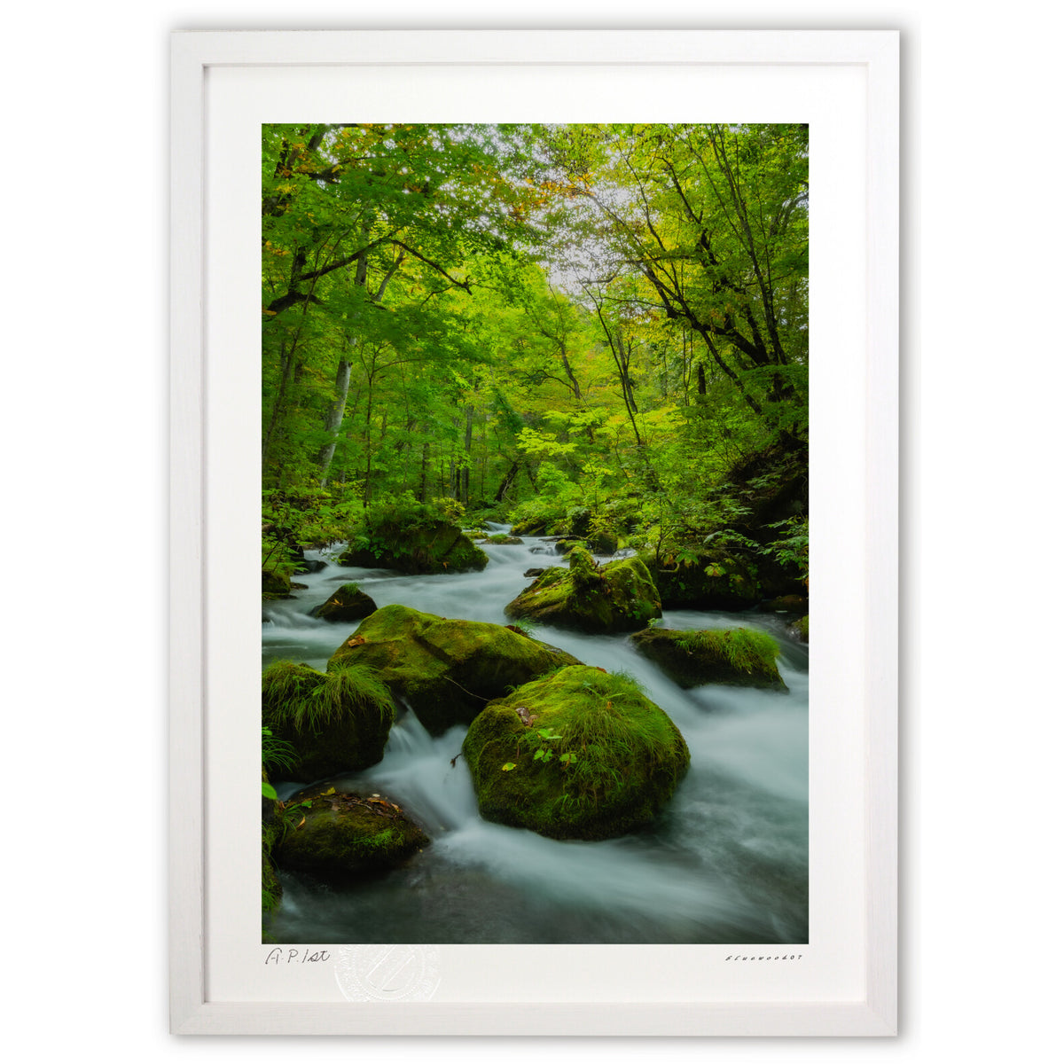 The flow of the Oirase Gorge