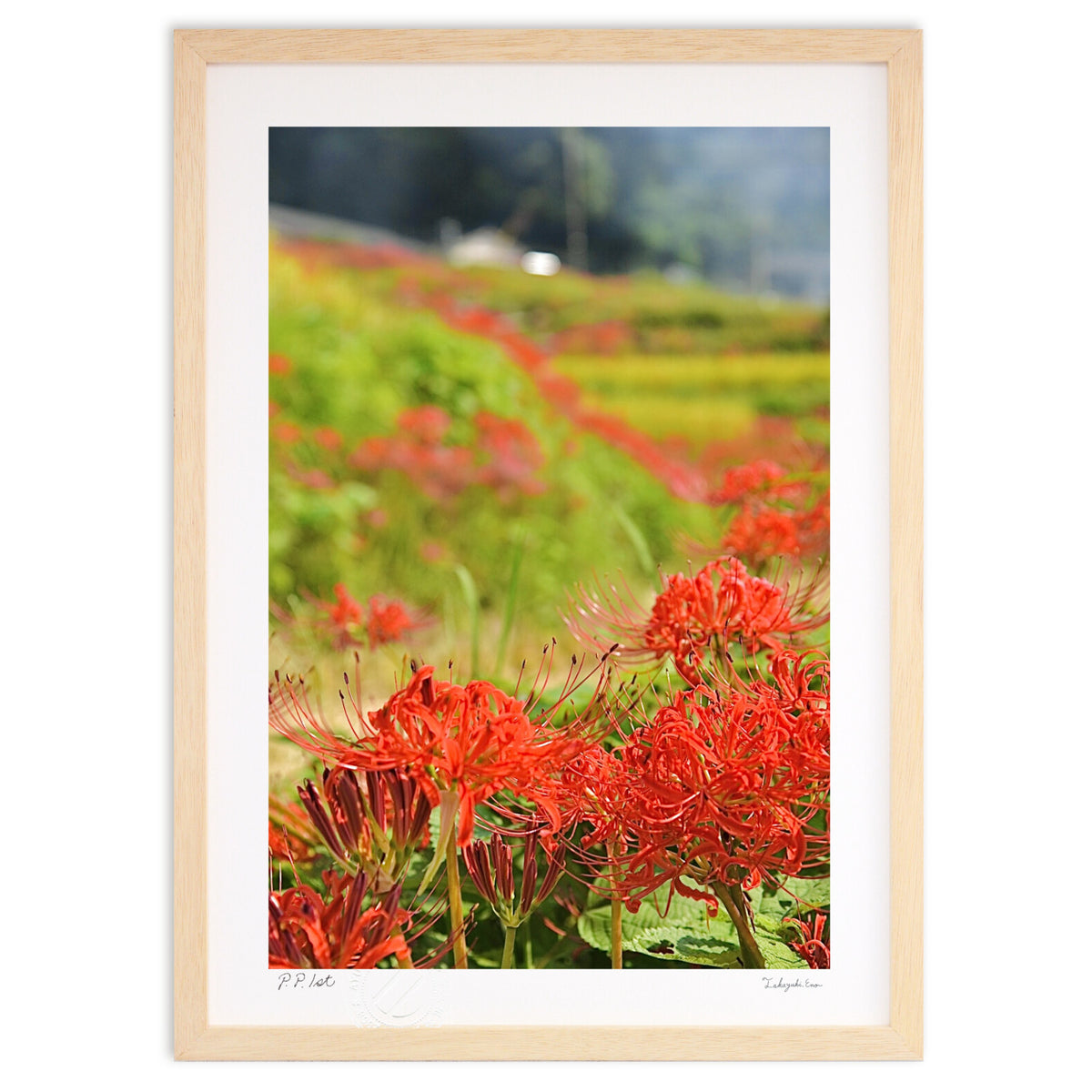 Autumn in Satoyama