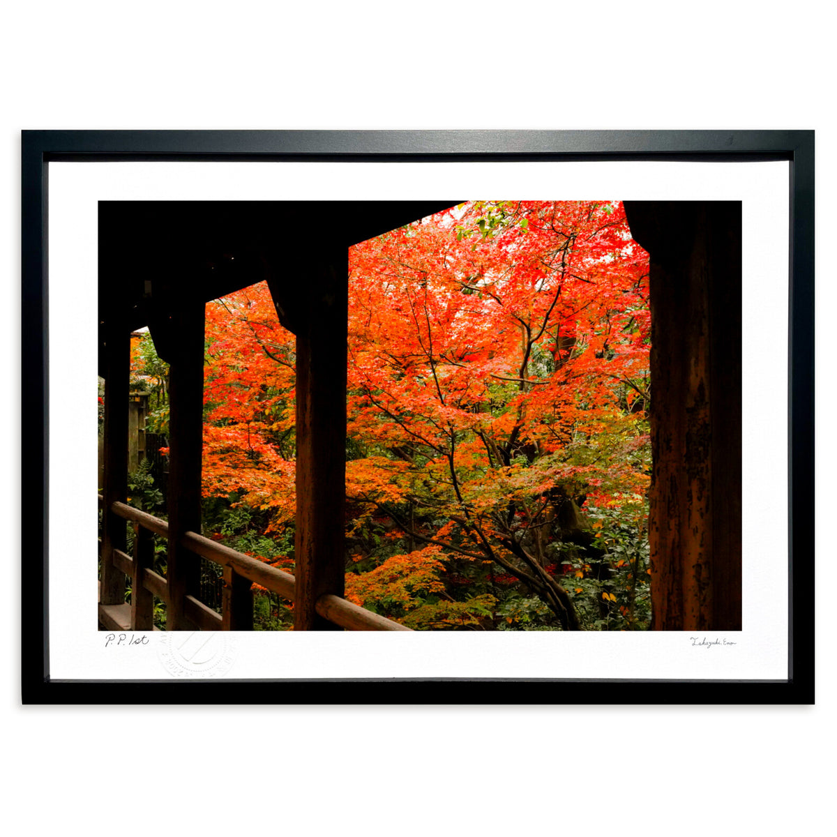 A memorable autumn