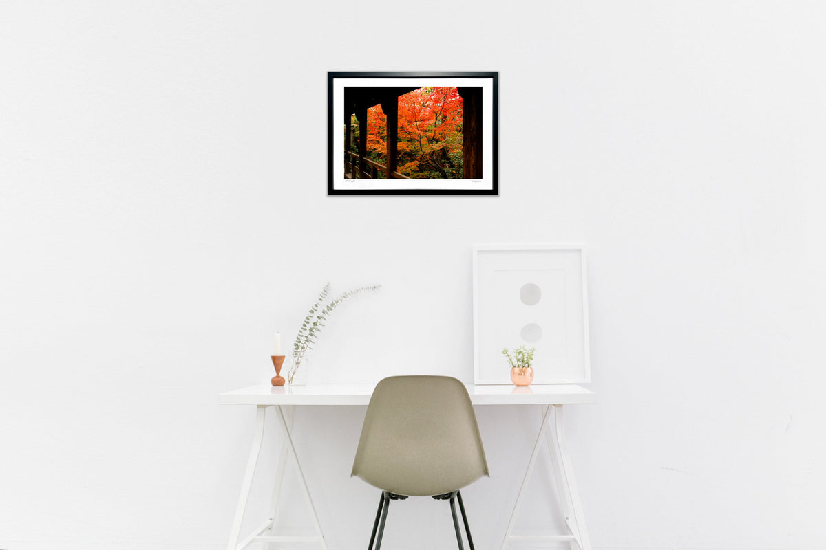 A memorable autumn