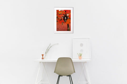 紅葉で朱に染まる