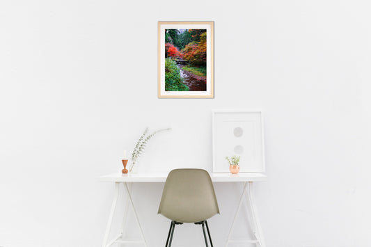 美しい秋の風景